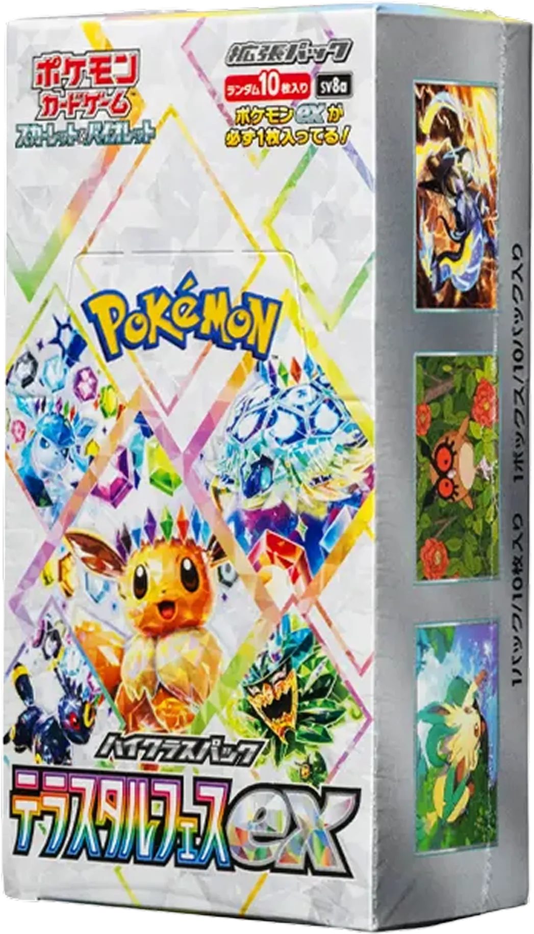 テラスタルフェス