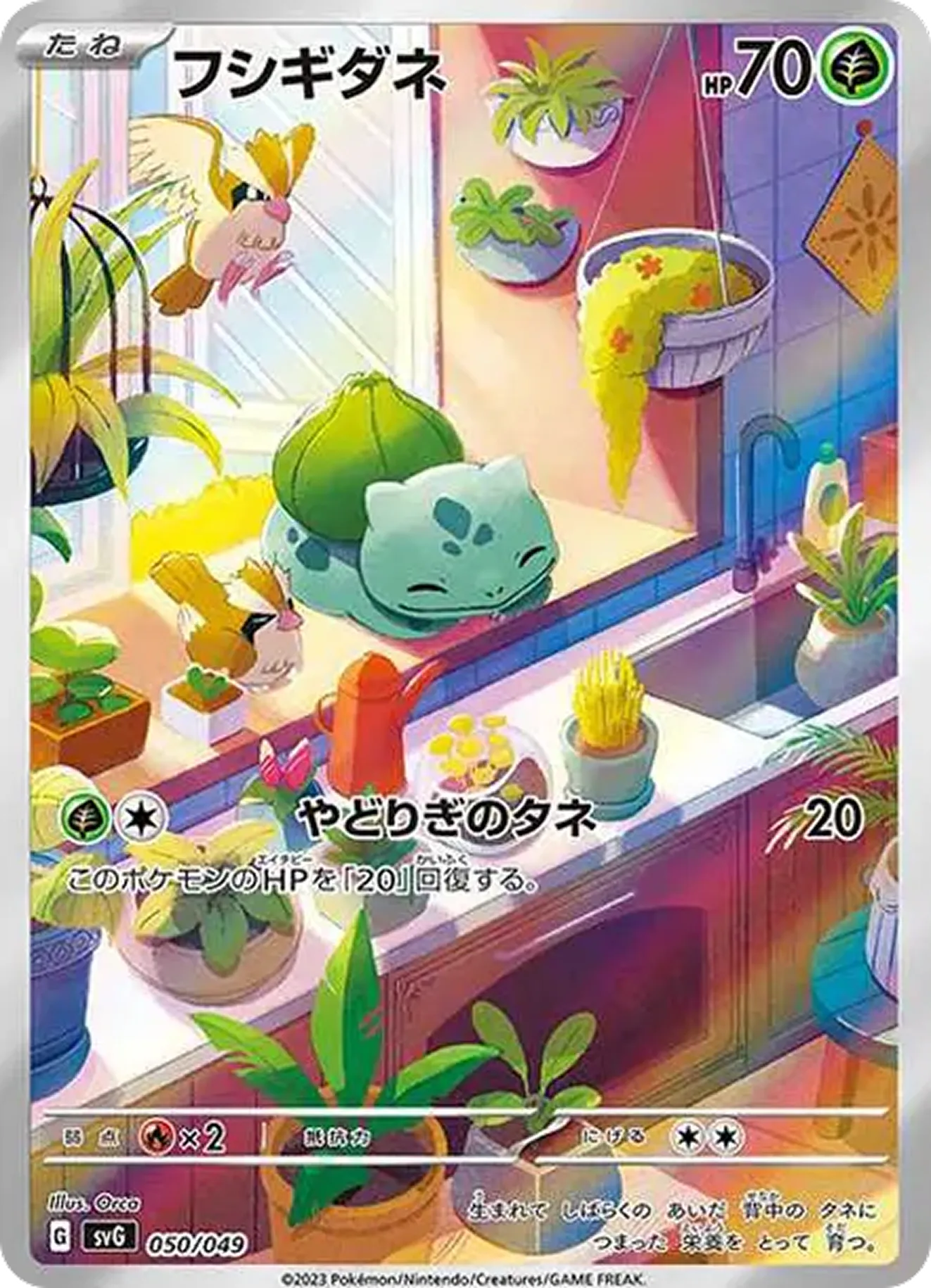 フシギダネ