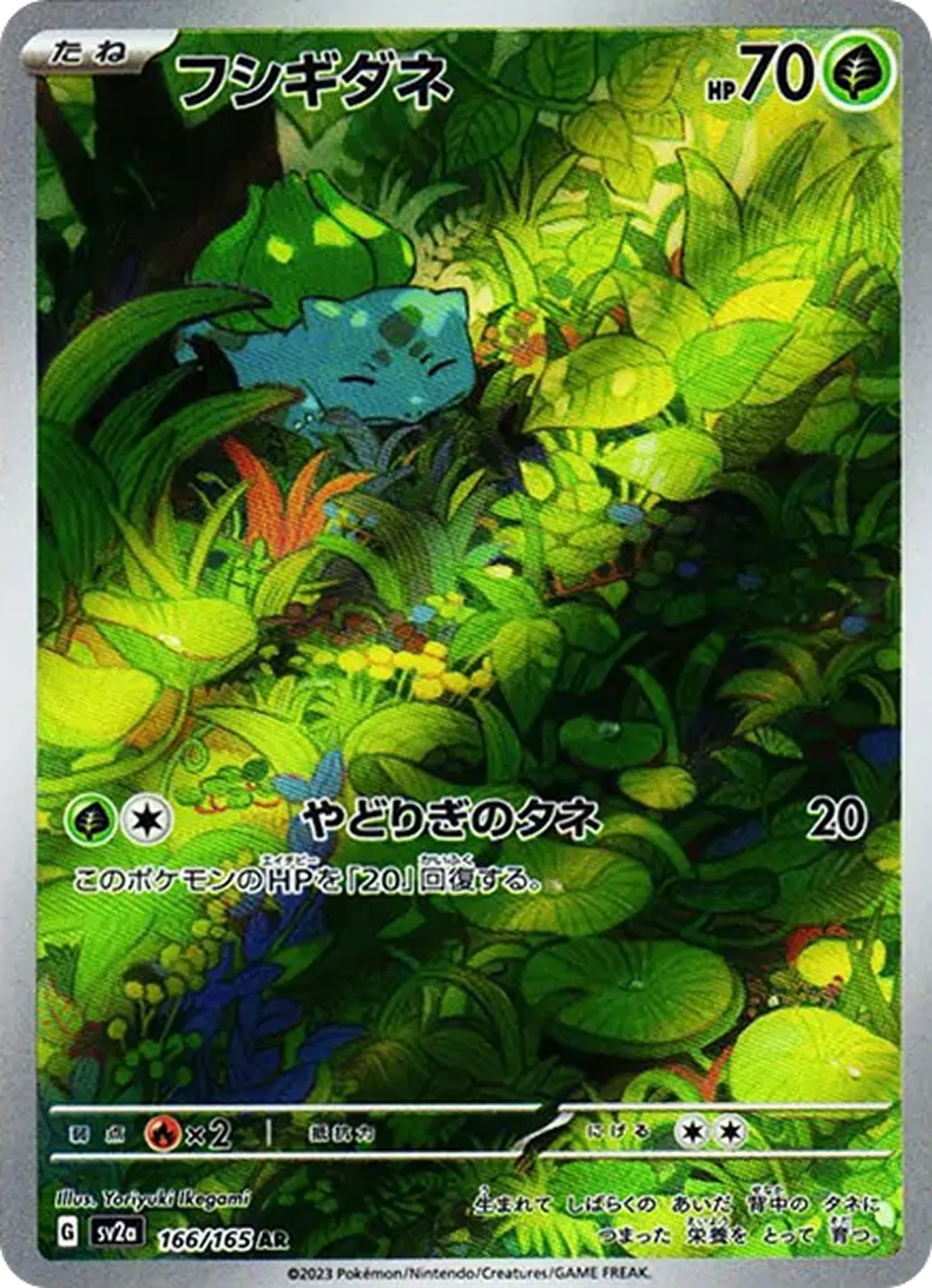 フシギダネ