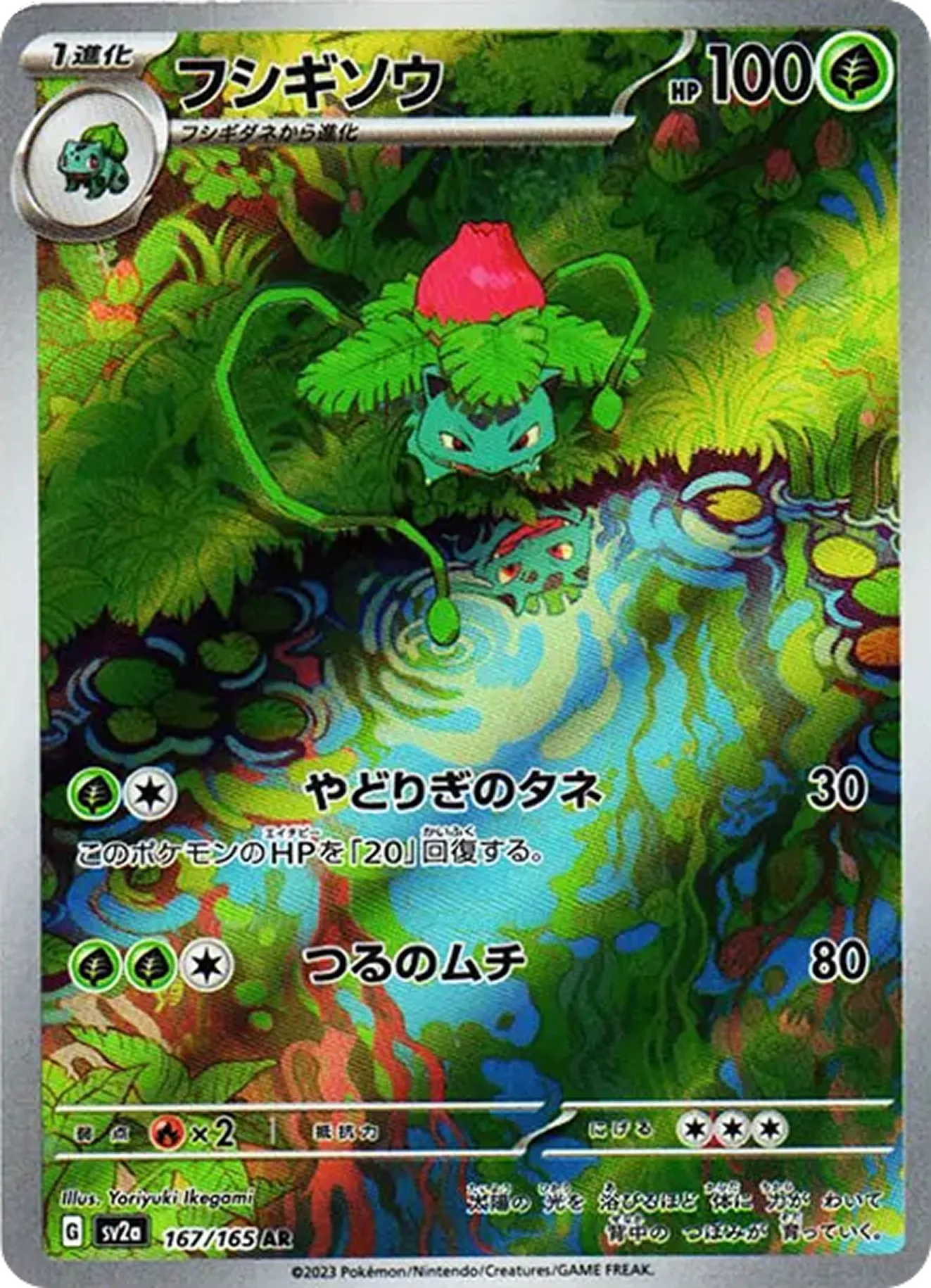 フシギソウ